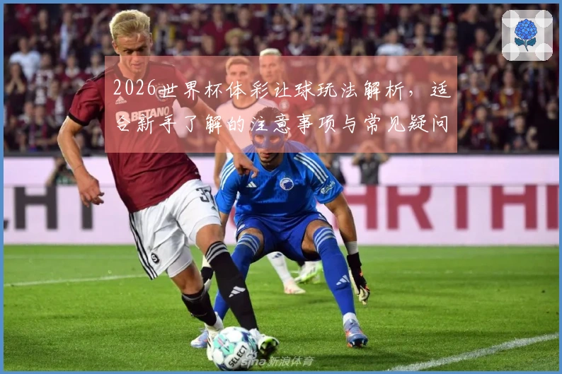 2026世界杯体彩让球玩法解析,适合新手了解的注意事项与常见疑问