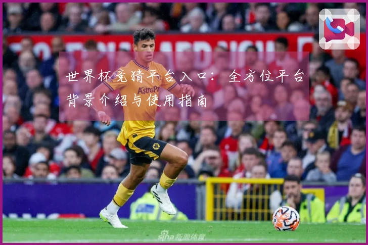 世界杯竞猜平台入口：全方位平台背景介绍与使用指南