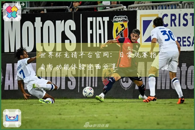 世界杯竞猜平台官网：日常观赛指南与功能体验全面分享