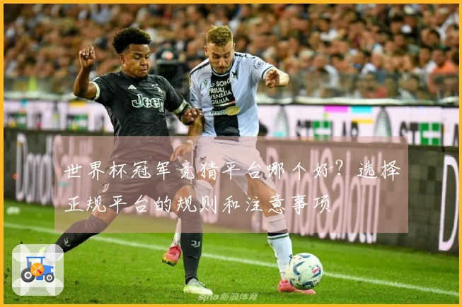 世界杯冠军竞猜平台哪个好？选择正规平台的规则和注意事项