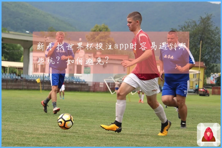 新手找世界杯投注app时容易遇到哪些坑？如何避免？