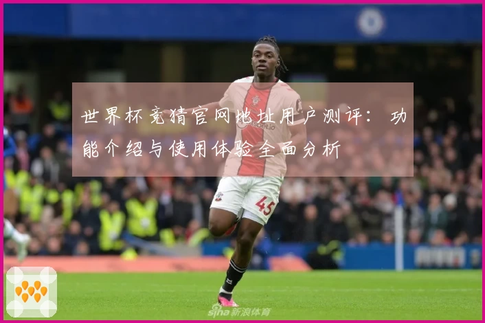 世界杯竞猜官网地址用户测评：功能介绍与使用体验全面分析
