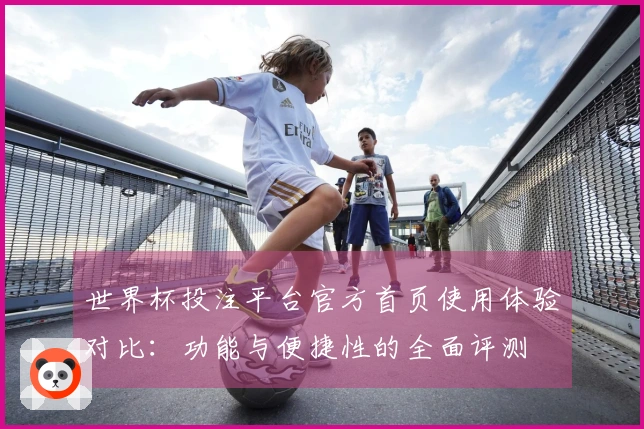 世界杯投注平台官方首页使用体验对比:功能与便捷性的全面评测