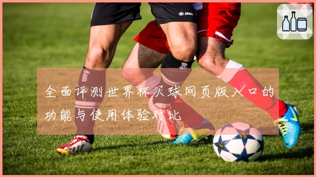 全面评测世界杯买球网页版入口的功能与使用体验对比