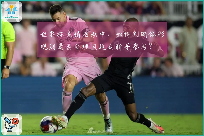 世界杯竞猜活动中，如何判断体彩规则是否合理且适合新手参与？