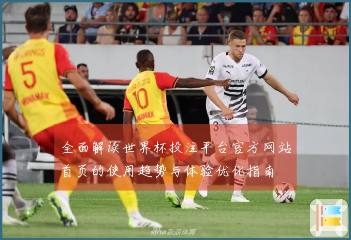 全面解读世界杯投注平台官方网站首页的使用趋势与体验优化指南