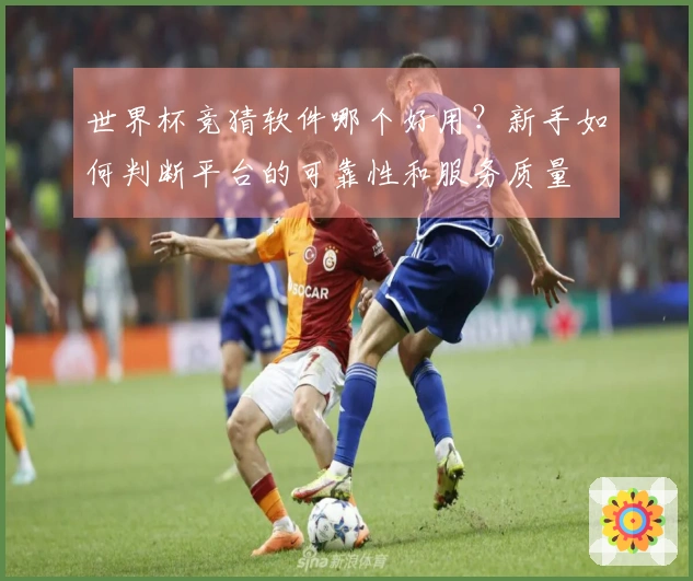 世界杯竞猜软件哪个好用?新手如何判断平台的可靠性和服务质量