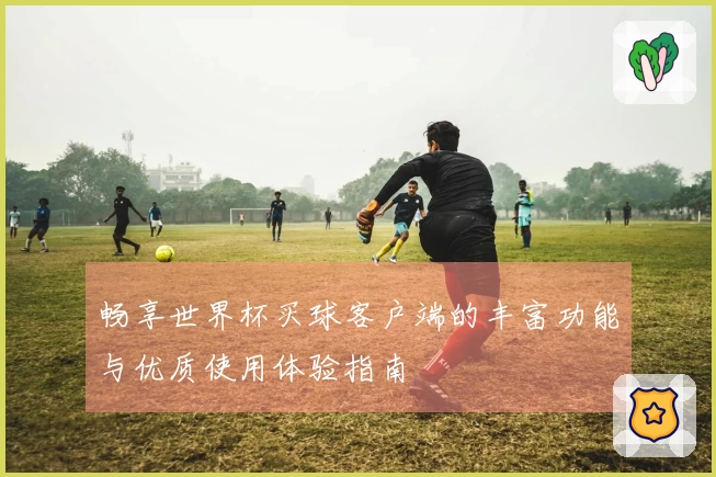 畅享世界杯买球客户端的丰富功能与优质使用体验指南