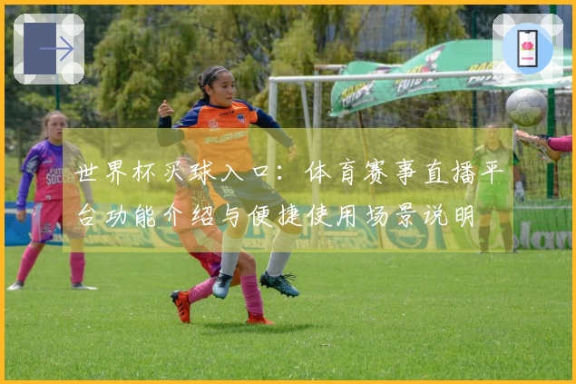 世界杯买球入口：体育赛事直播平台功能介绍与便捷使用场景说明