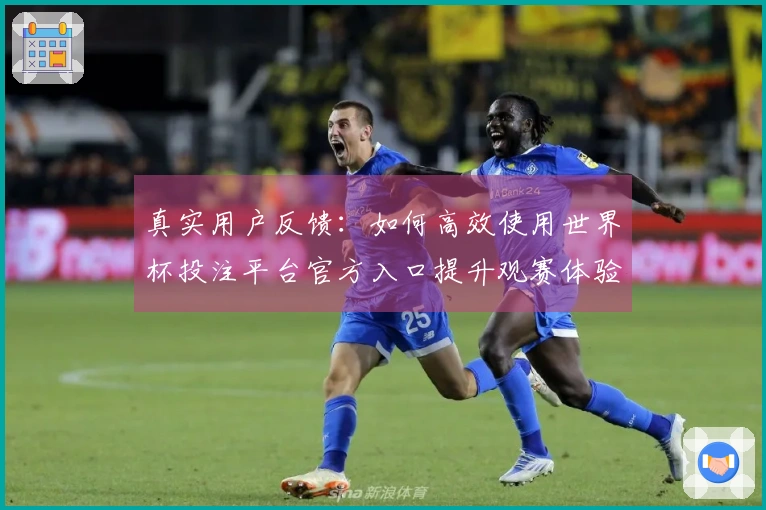 真实用户反馈：如何高效使用世界杯投注平台官方入口提升观赛体验