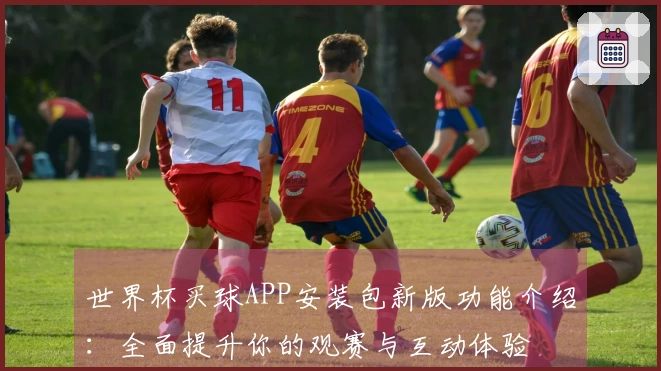 世界杯买球APP安装包新版功能介绍:全面提升你的观赛与互动体验
