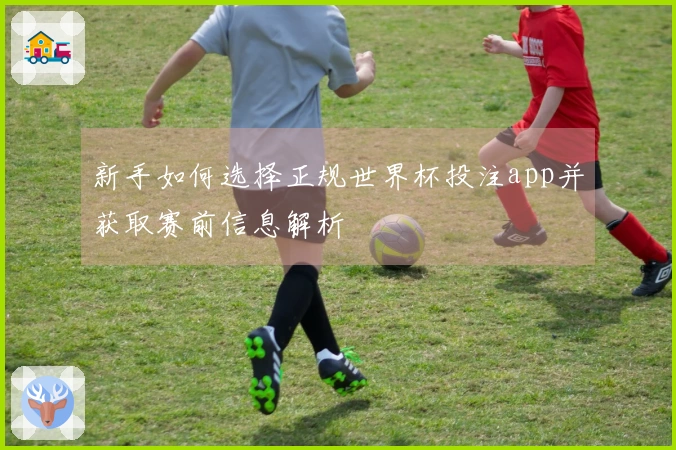 新手如何选择正规世界杯投注app并获取赛前信息解析