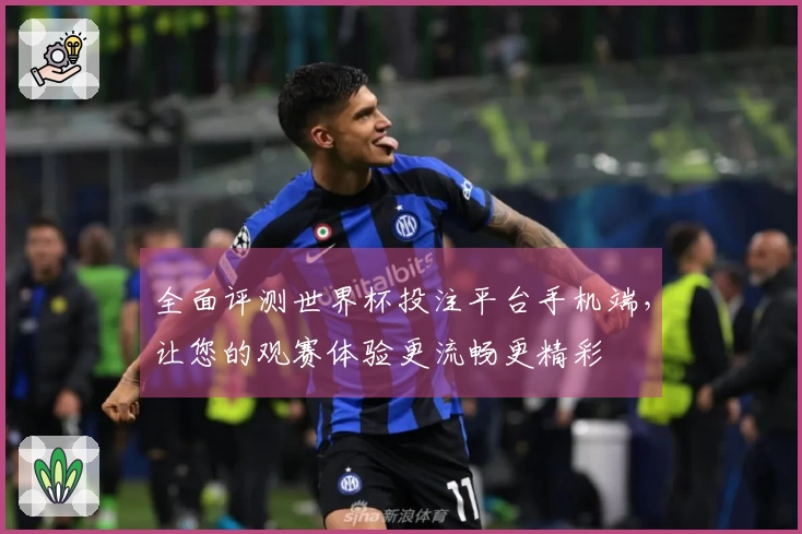全面评测世界杯投注平台手机端，让您的观赛体验更流畅更精彩