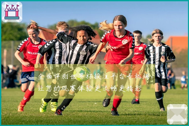 全面评测世界杯投注平台手机端，让您的观赛体验更流畅更精彩