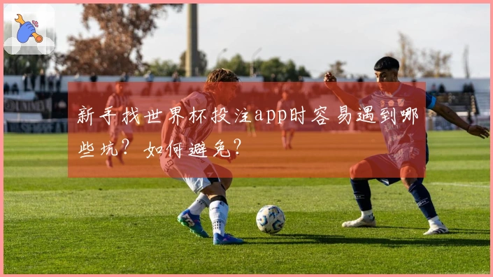 新手找世界杯投注app时容易遇到哪些坑?如何避免?
