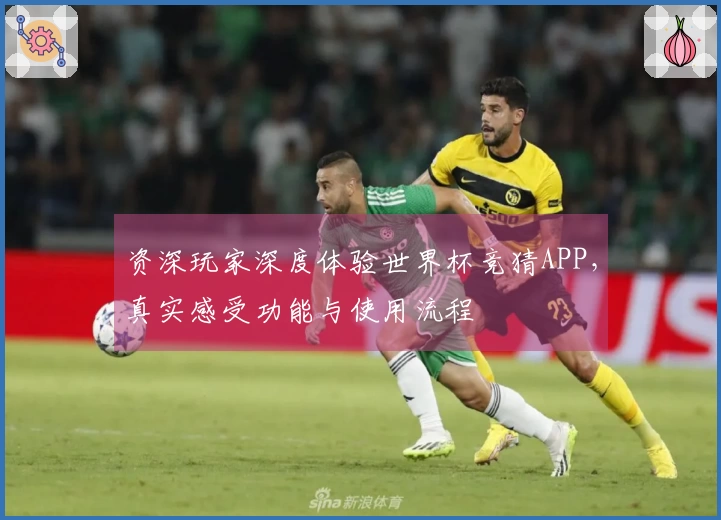 资深玩家深度体验世界杯竞猜APP，真实感受功能与使用流程