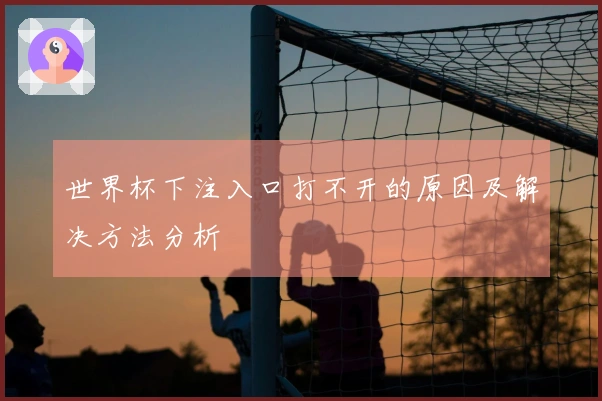 世界杯下注入口打不开的原因及解决方法分析