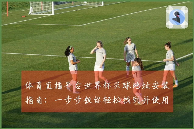 体育直播平台世界杯买球地址安装指南：一步步教你轻松找到并使用