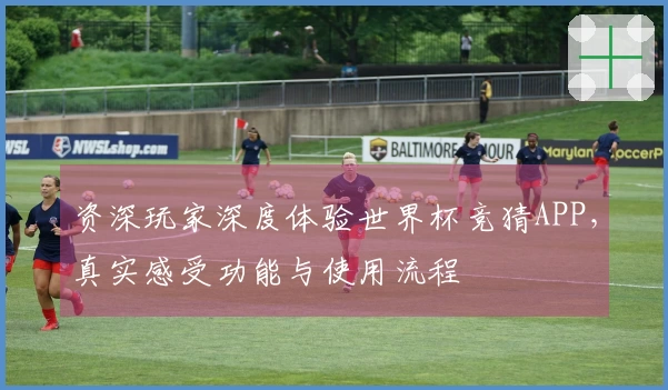 资深玩家深度体验世界杯竞猜APP,真实感受功能与使用流程
