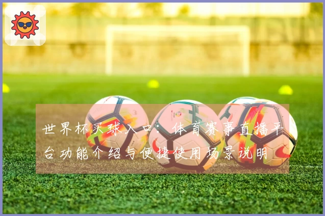 世界杯买球入口：体育赛事直播平台功能介绍与便捷使用场景说明